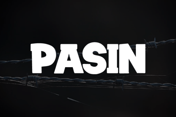 Pasin Typeface: Elevating Editorial Design with Modern Elegance